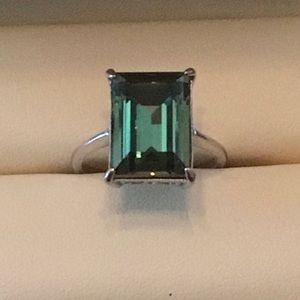 Fragrant Jewels Sterling Silver Satin ring .925